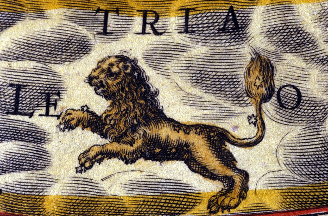 Horoskop: znamení zvěrokruhu, lev. od Unknown artist