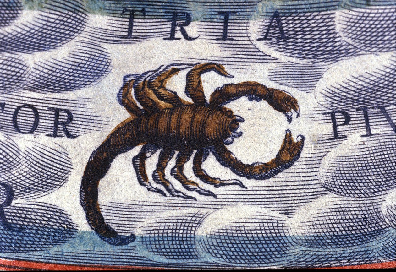Horoskop: znamení zvěrokruhu, štír. od Unknown artist