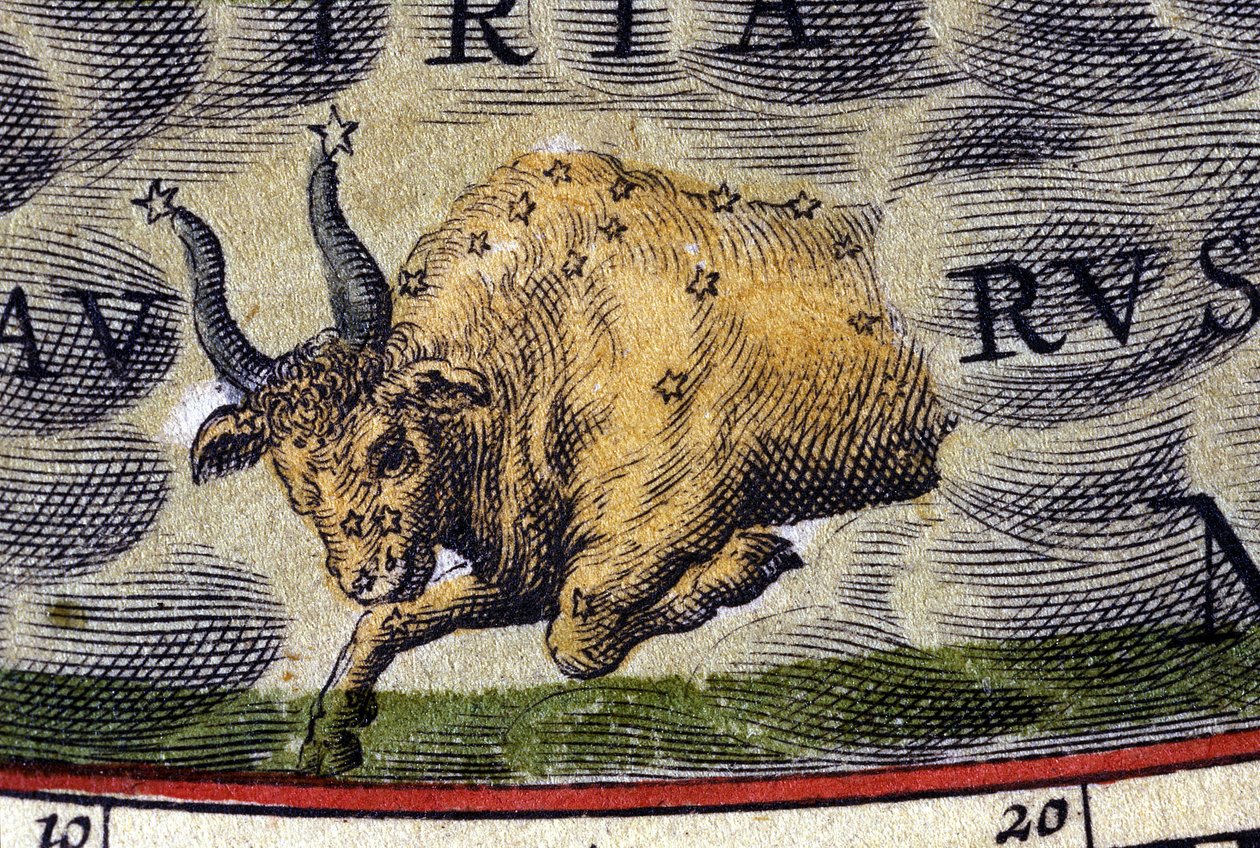 Horoskop: znamení zvěrokruhu, Býk. od Unknown artist