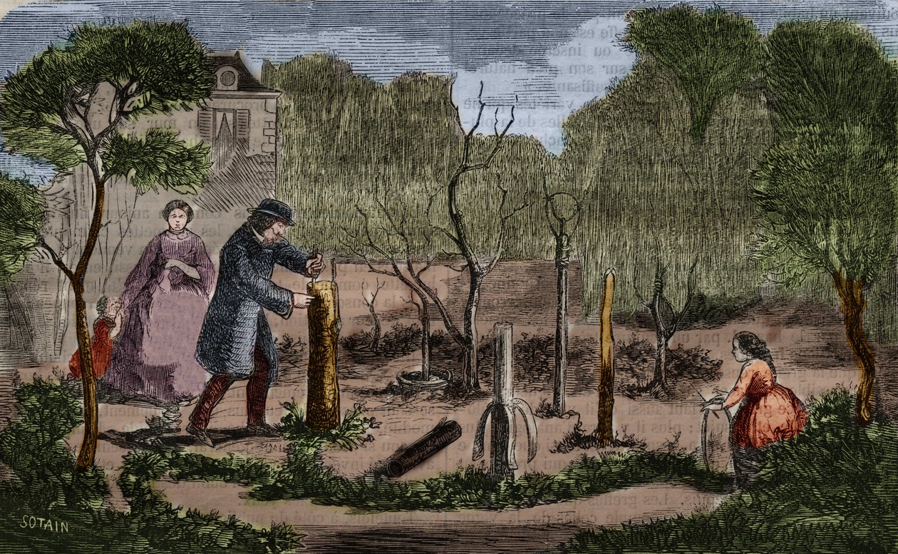 Zahradnictví: hlavní metody přesazování rostlin. 1860 rytina. od Unknown artist