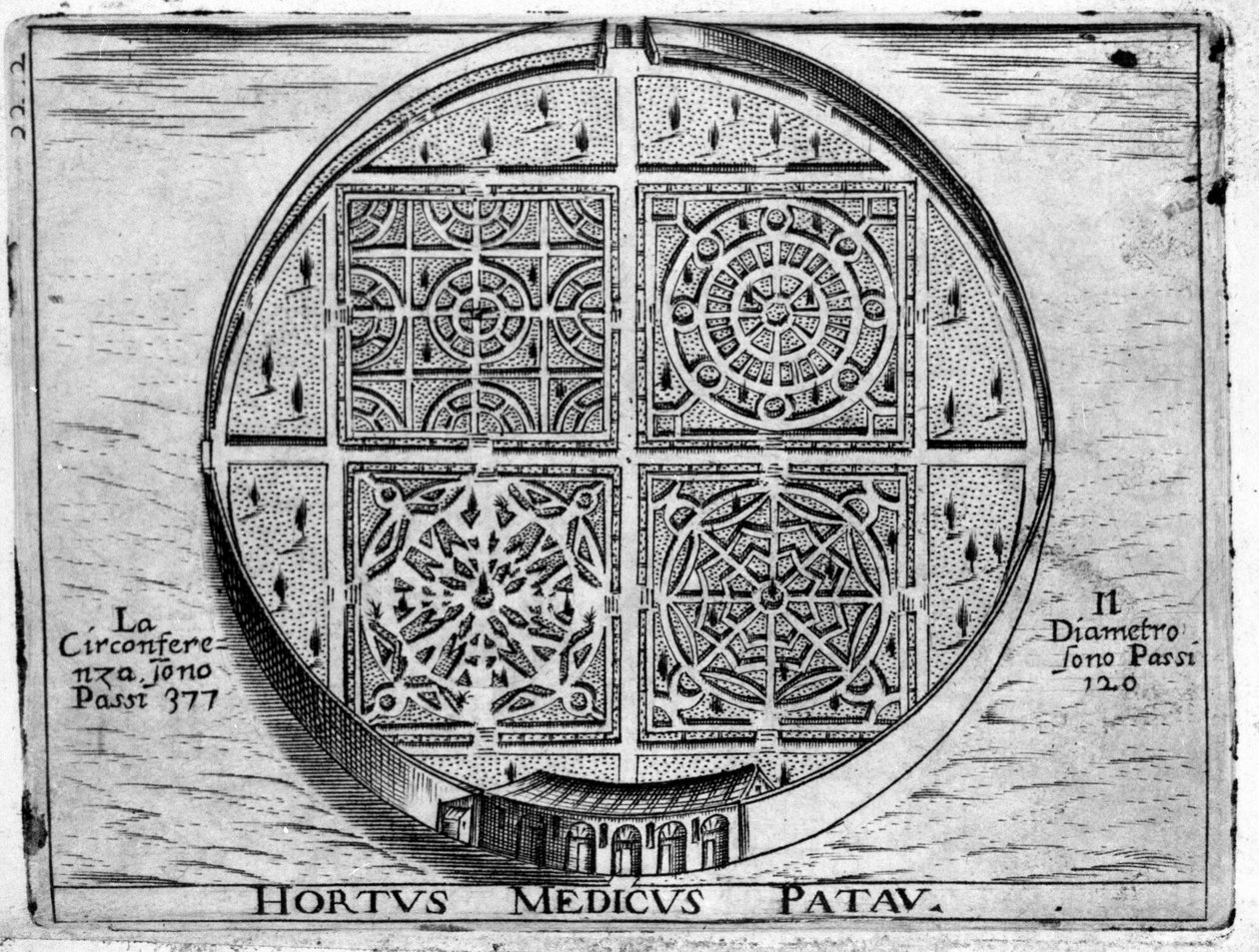Zahrada Padova: Medická zahrada Padova. od Unknown artist