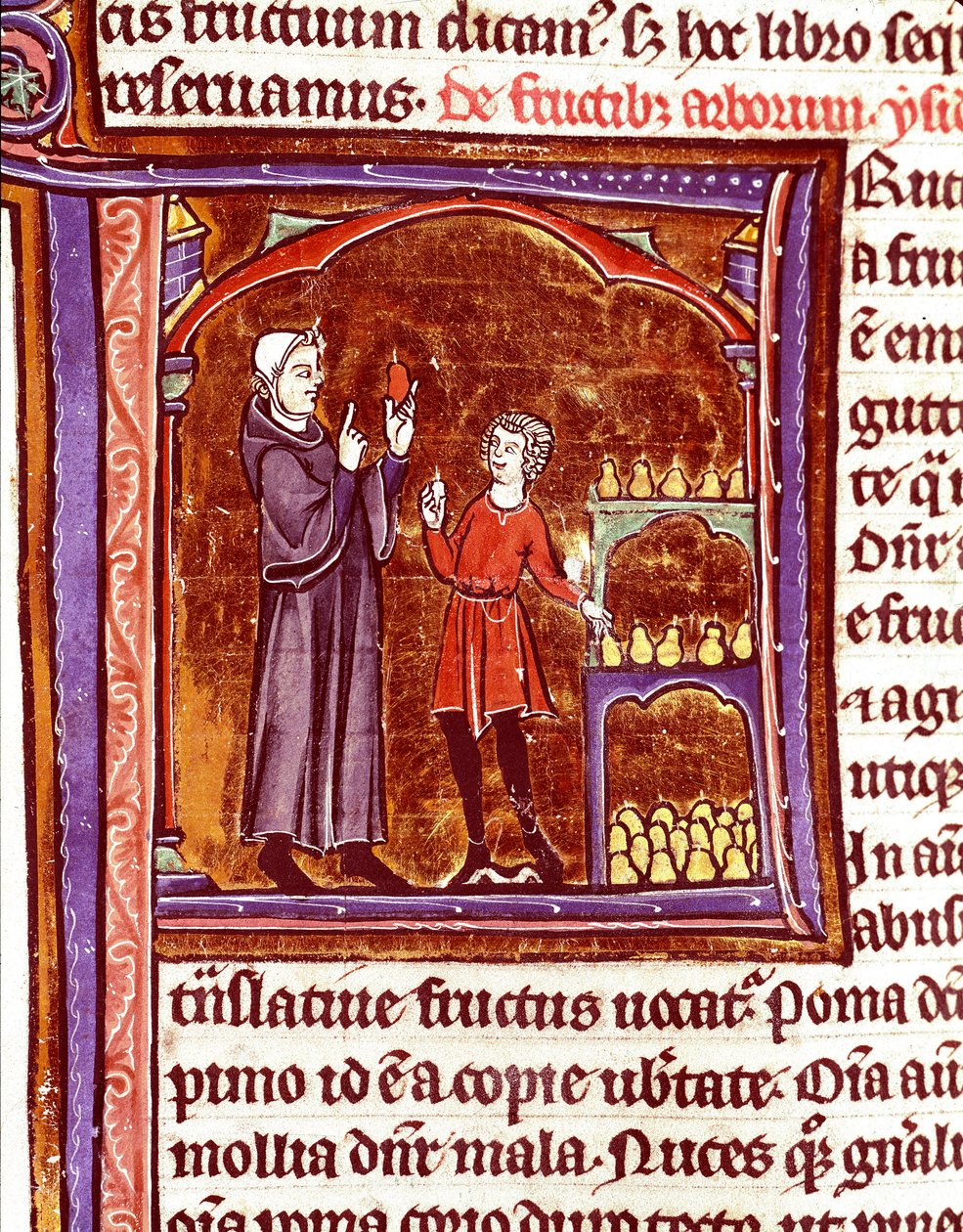 Jak skladovat hrušky Miniatura z rukopisu „Speculum historiale““ (Le Mirror historial) od Vincenta de Beauvais (1184/94-1264) Laon ze 13. století, městská knihovna od Unknown artist