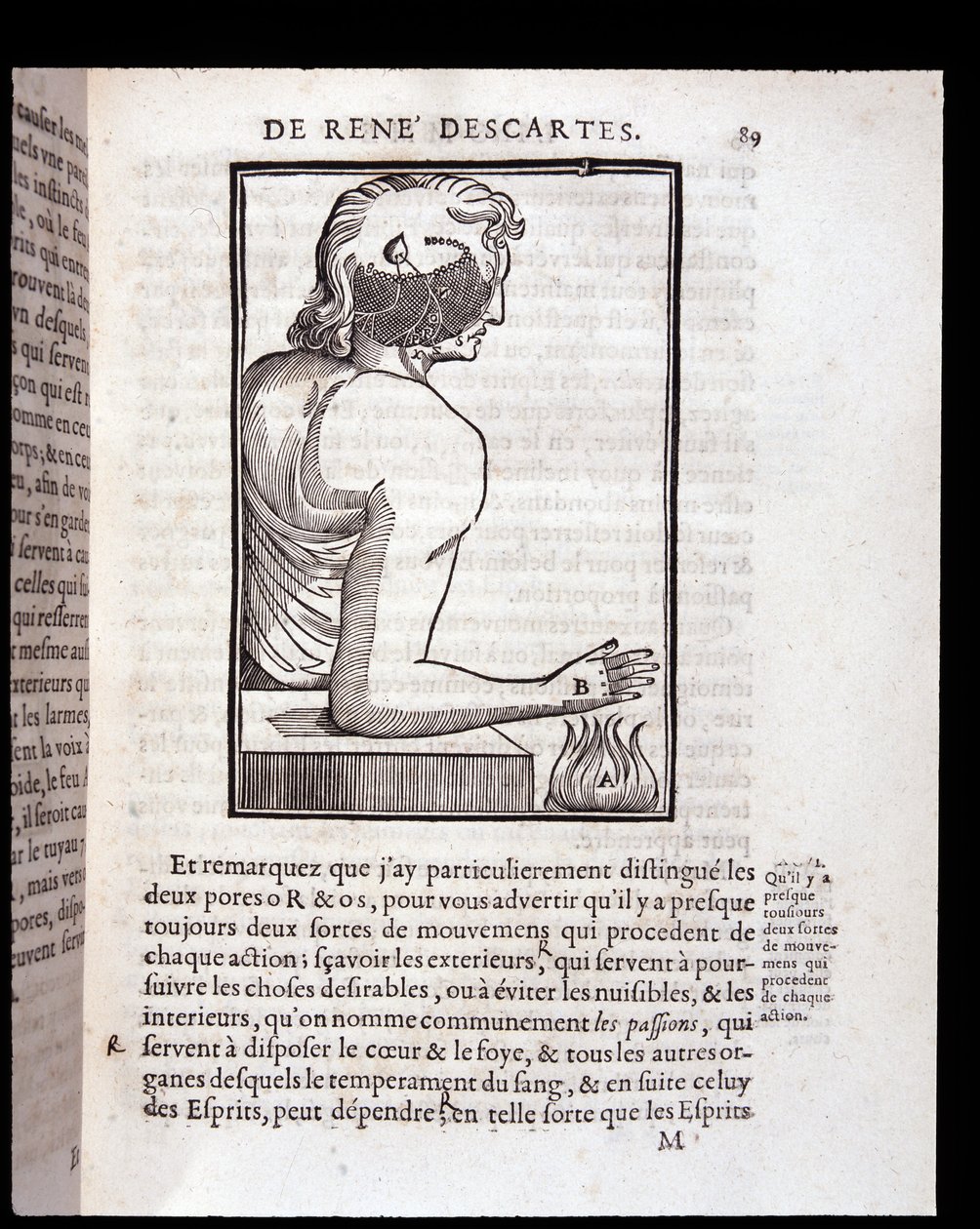 Lidský smyslový systém se propojuje s mozkem – v „Člověk René Descartes a formování plodu“, Paris od Unknown artist