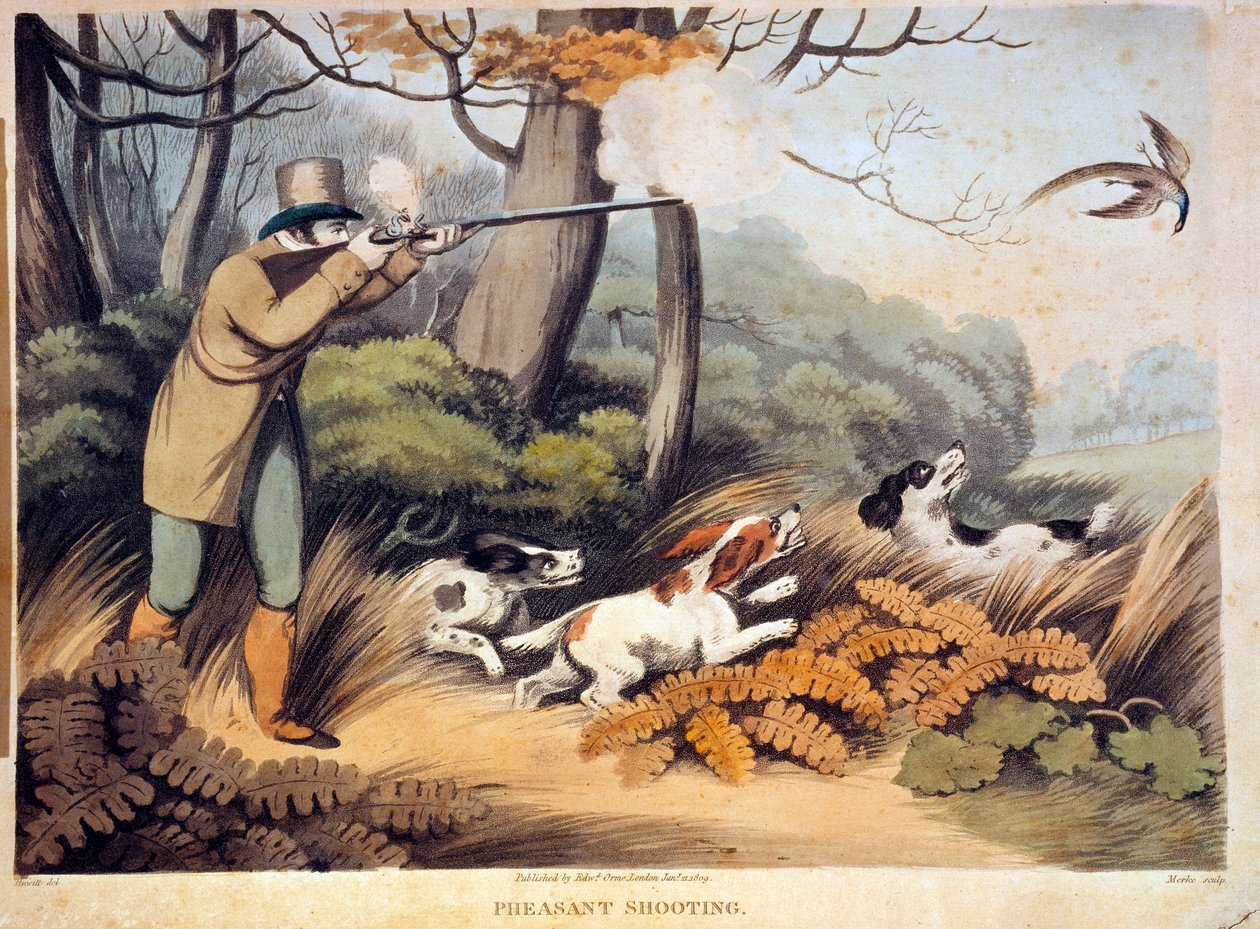 Lov na bažanty v Anglii. 19. století rytina. Gien, lovecké muzeum od Unknown artist
