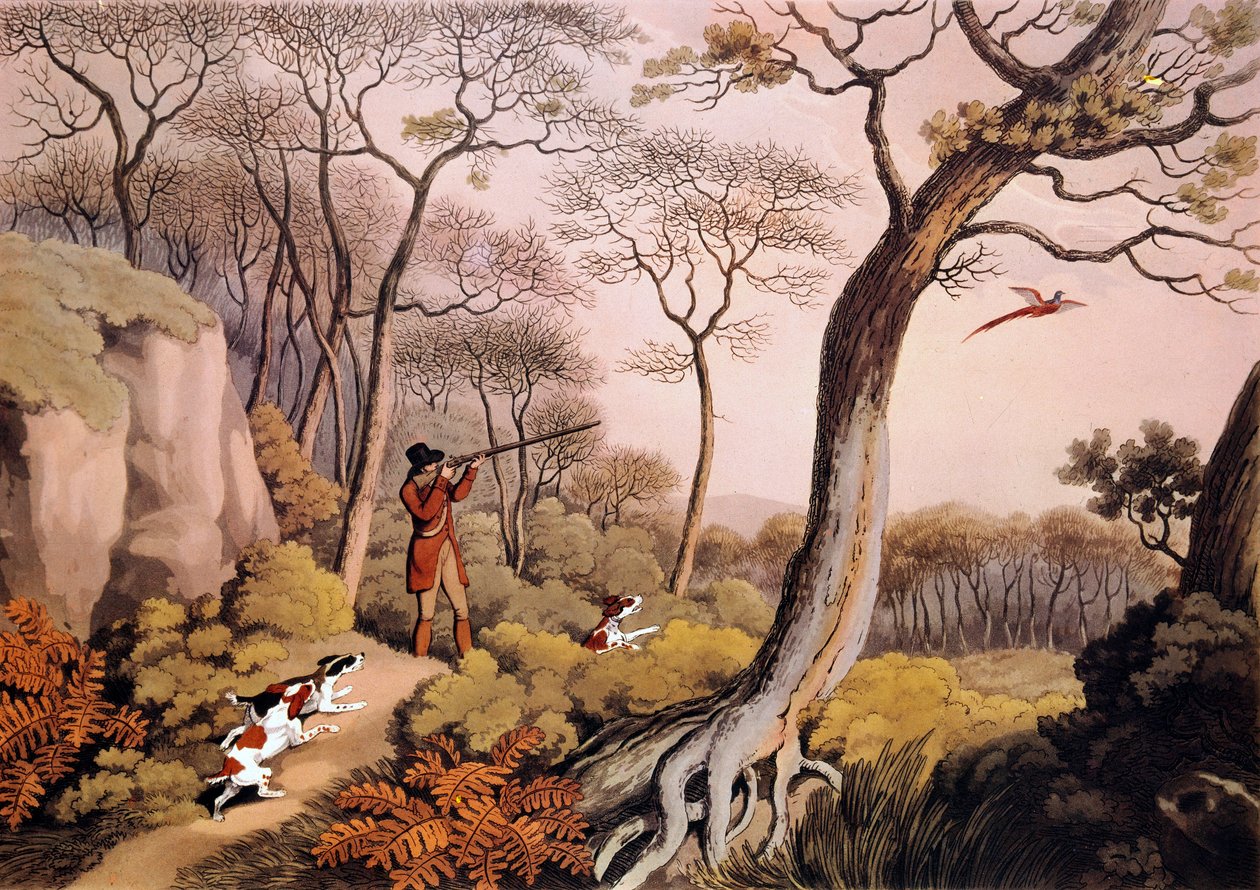 Lov bažantů v Anglii. 19. století rytina. Gien, lovecké muzeum od Unknown artist