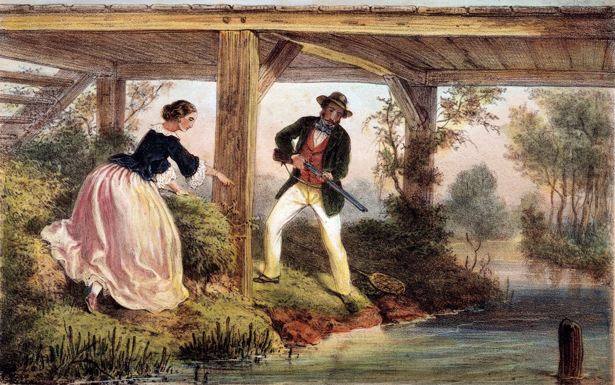 Lov štik v Anglii. 19. století rytina. Gien, lovecké muzeum od Unknown artist