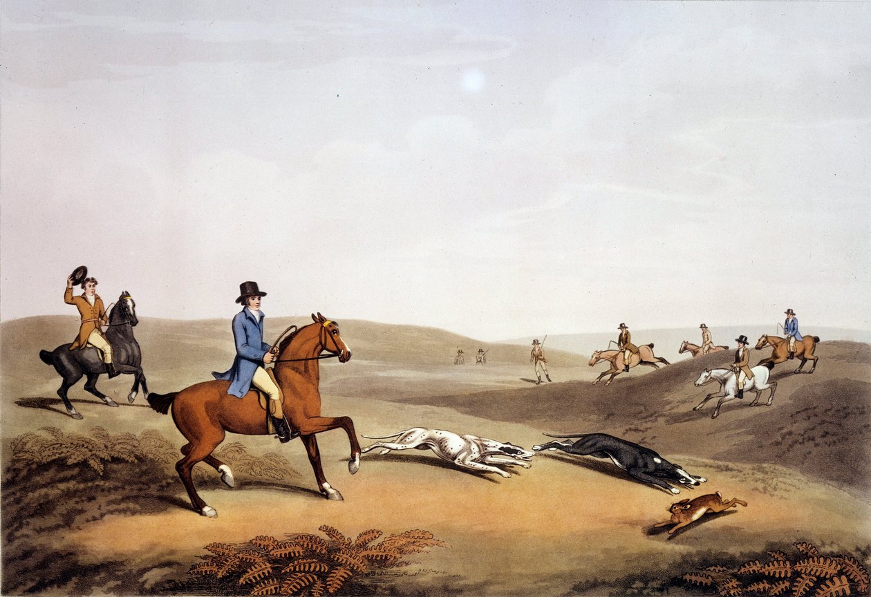 Lovecká scéna v Anglii. 19. století rytina. Gien, lovecké muzeum od Unknown artist