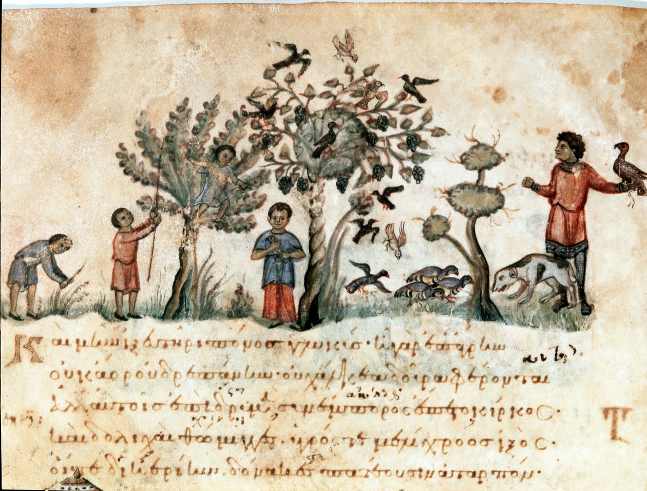 Lovecká scéna s jestřáby a sběr ovoce Miniatura pořízená z loveckého dojení „“ The Cynegetics““ od Oppiana (Oppian nebo Oppianus) ze Sýrie (3. století n. l.) věnovaná Caracallovi. Benátky 11. století. Knihovna Marciana od Unknown artist