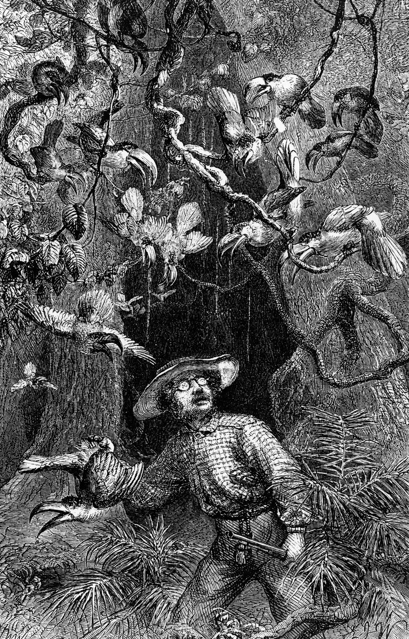 Ilustrace Přírodovědec na Amazonce, Henry Walter Bates (rytina) od Unknown artist
