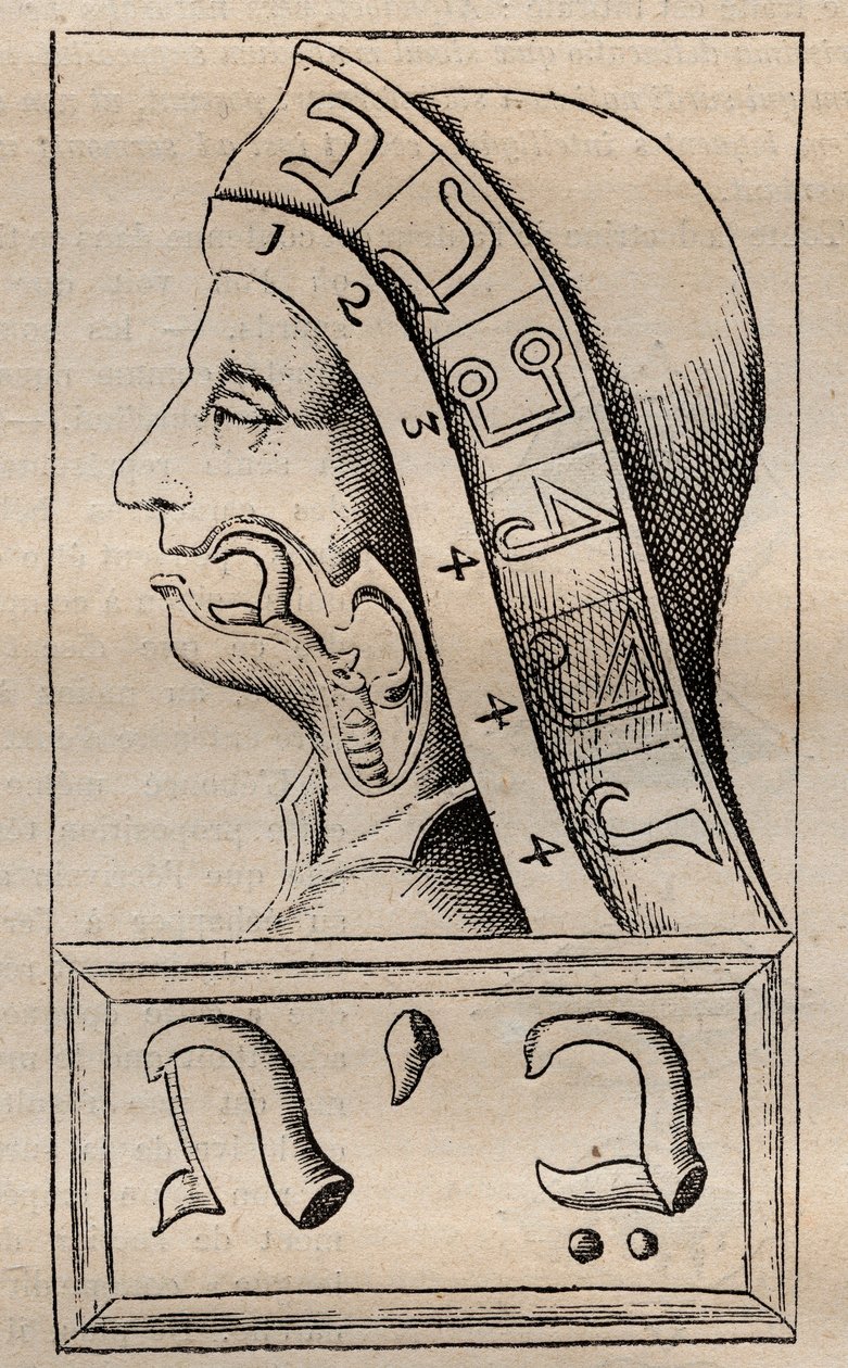 Ilustrace z: „Abeceda přírody“ (Abeceda přírody) Francise Mercuriuse van Helmonta (1618–1699) (Francois Mercure Van Helmont tvrdil, že každé písmeno hebrejské abecedy (považované za začátek od Unknown artist