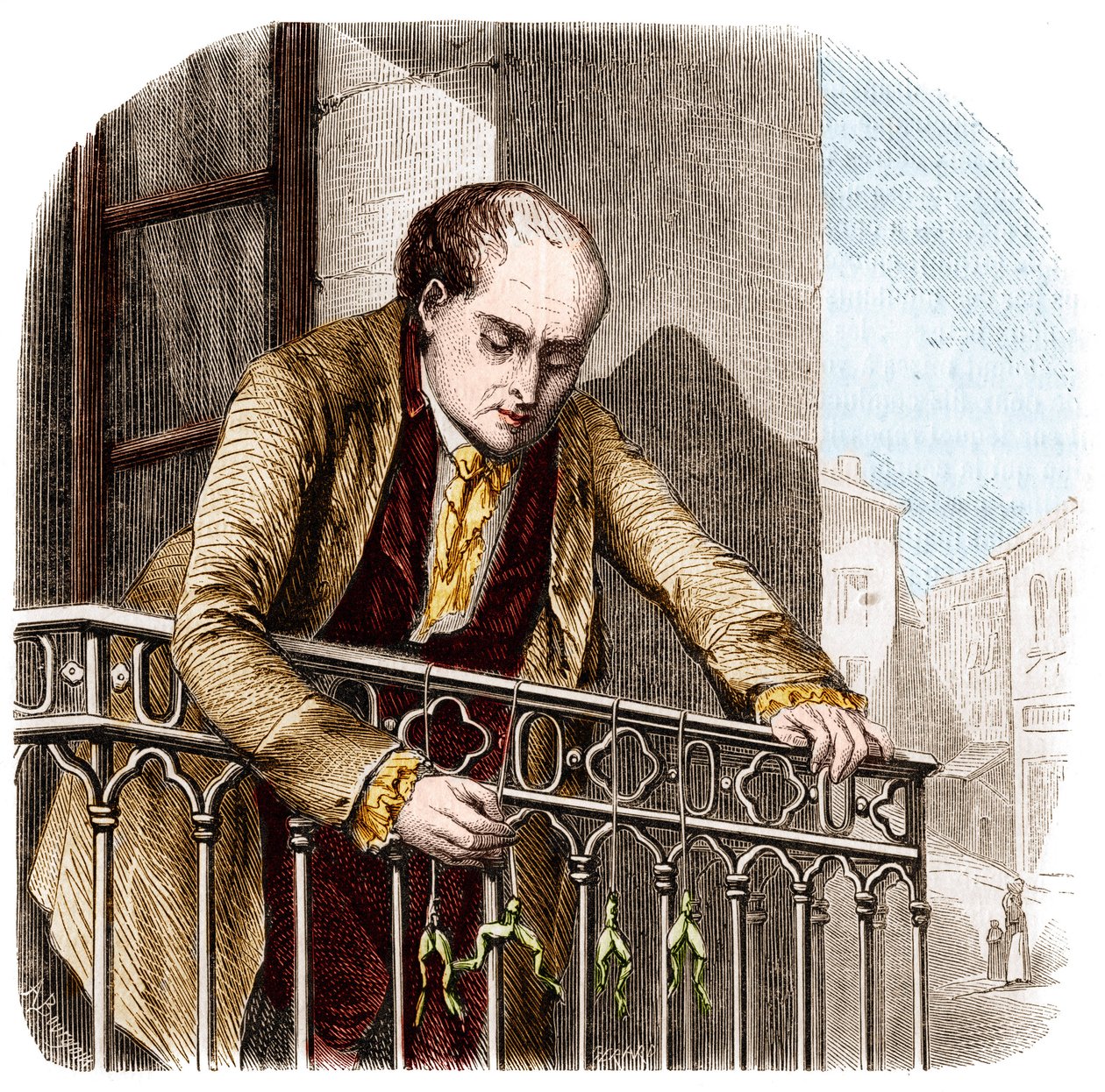 Ilustrace pokusů Luigiho Galvaniho, italského fyzika a lékaře (1737 - 1798) se žábami. od Unknown artist