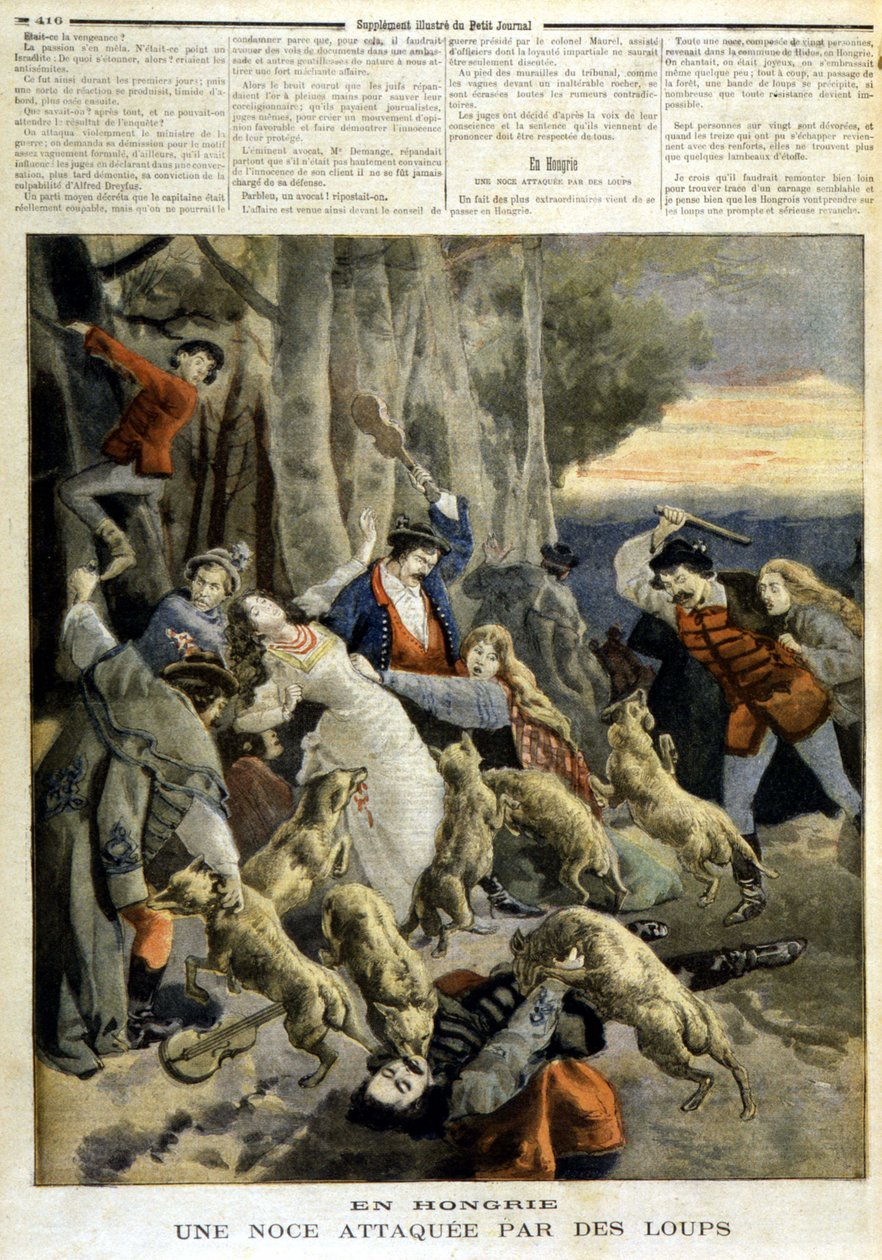 V Maďarsku: svatba napadená vlky - v „“Le Petit Journal““ z 23.12.1894 od Unknown artist