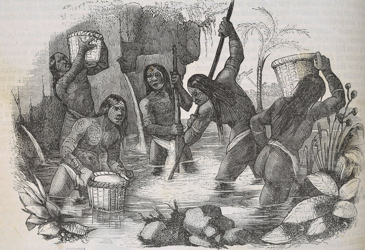 Indiáni z ostrova Hispaniola rýžují zlato od Unknown artist
