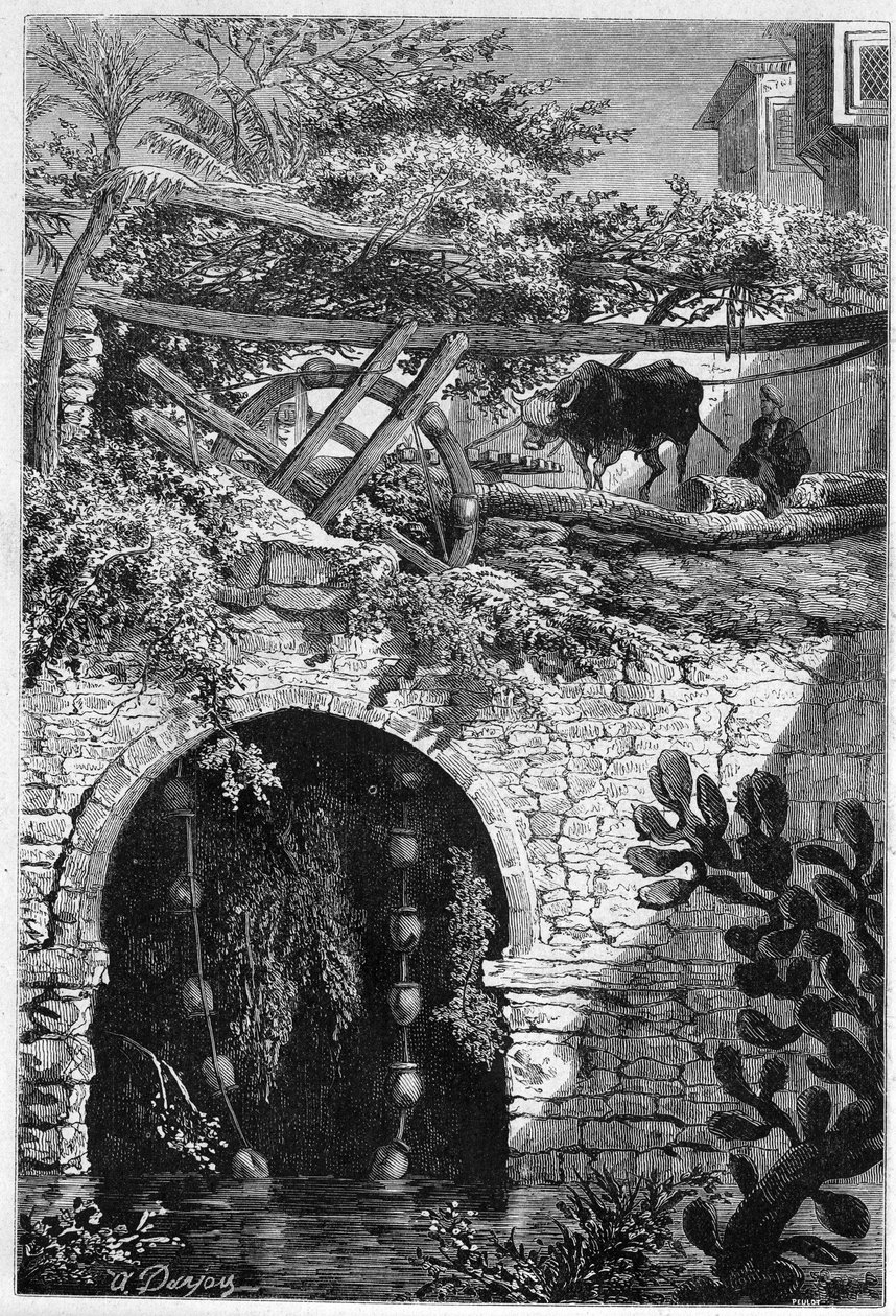Zavlažování v Egyptě: vůl otáčí kolem, kolem kterého jsou omotaná vědra. Rytina v „“ Le Monde Illustré““ č. 1313 ze dne 27. května 1882. od Unknown artist