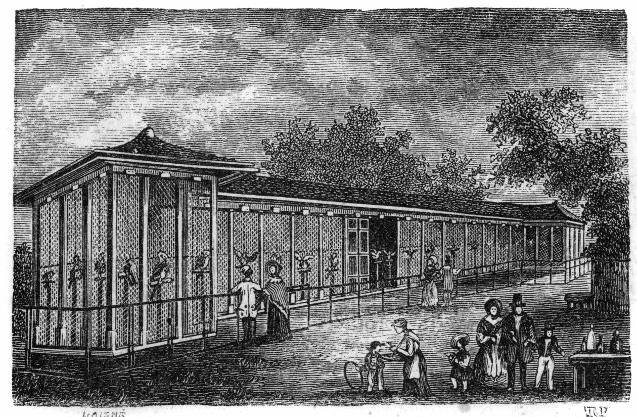 Jardin des Plantes v Paříži v roce 1861: sokolnictví. od Unknown artist