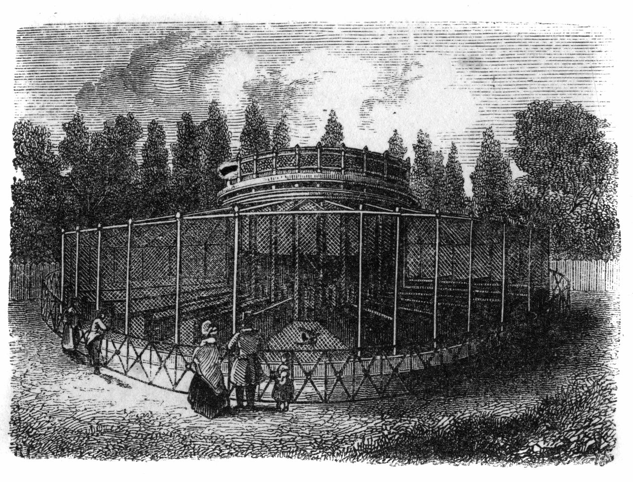 Jardin des Plantes v Paříži v roce 1861: bažantnice. od Unknown artist