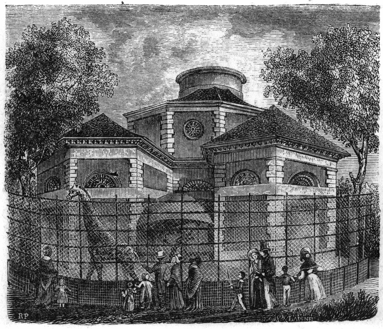 Jardin des Plantes v Paříži v roce 1861: rotunda slonů a žiraf. od Unknown artist