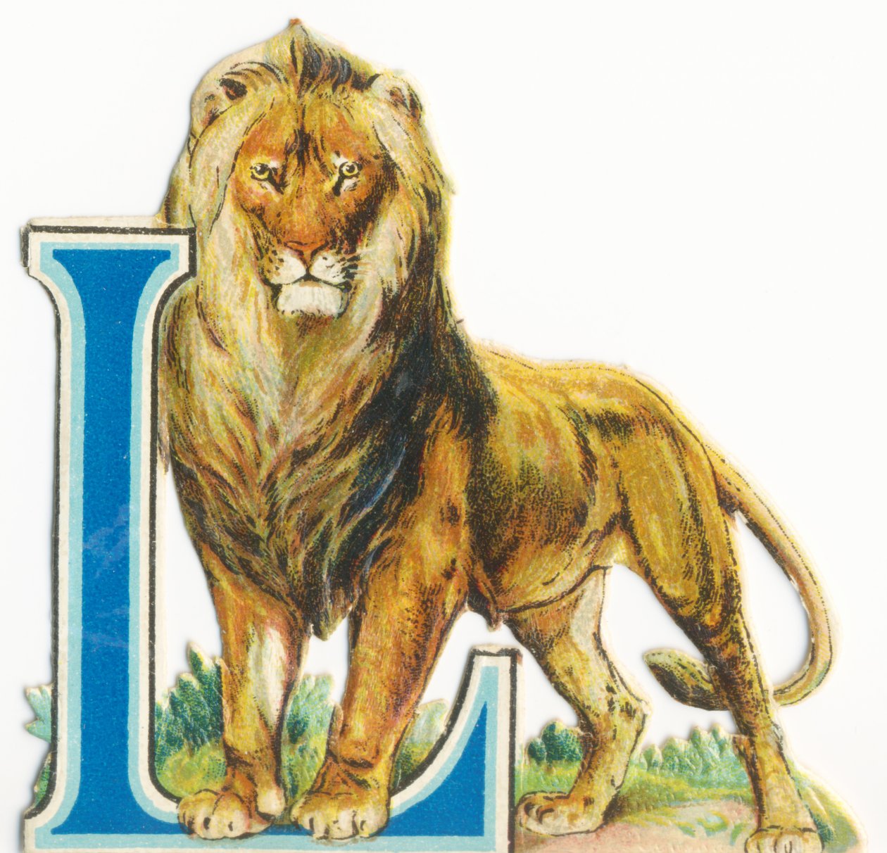 L: Leo od Unknown artist