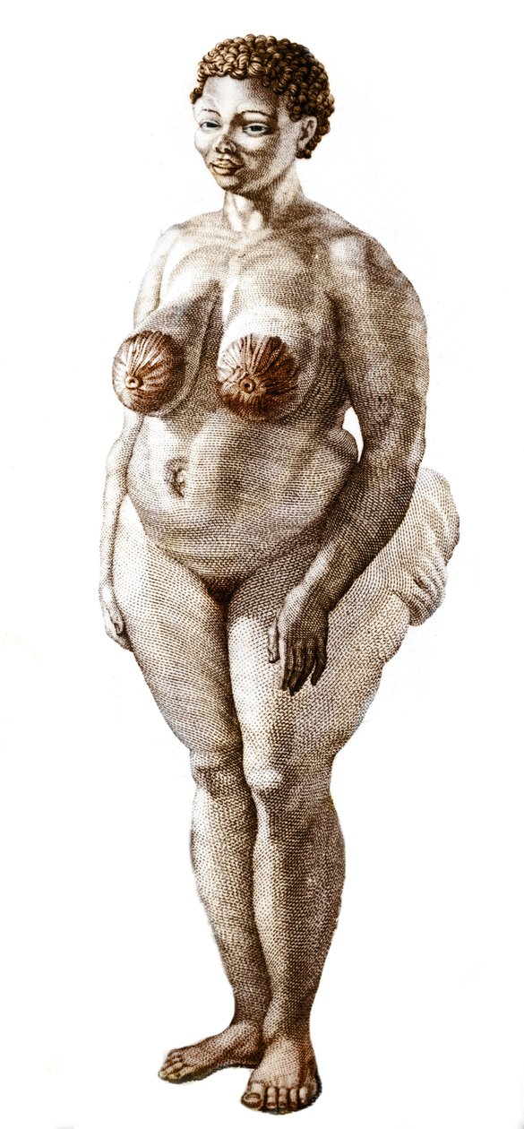 La Venus Hottentote, žena plemene Bochiman (The Hottentot Venus,) rytina z roku 1815. od Unknown artist