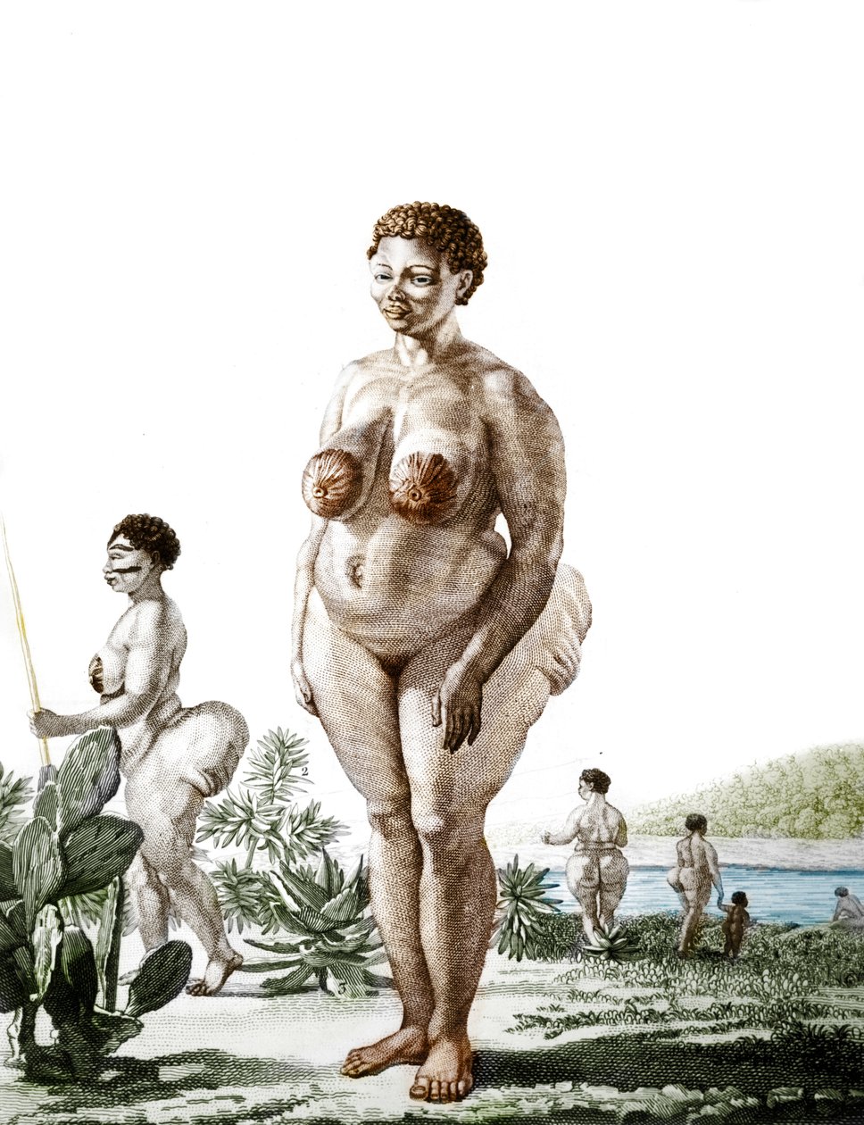 La Venus Hottentote, žena plemene Bochiman (The Hottentot Venus,) rytina z roku 1815. od Unknown artist