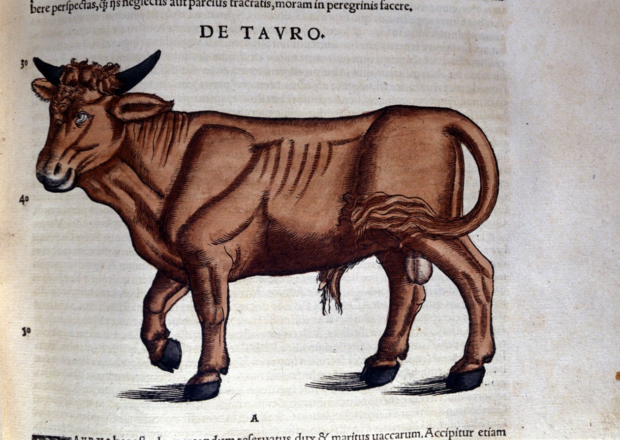 Závěsný od Unknown artist