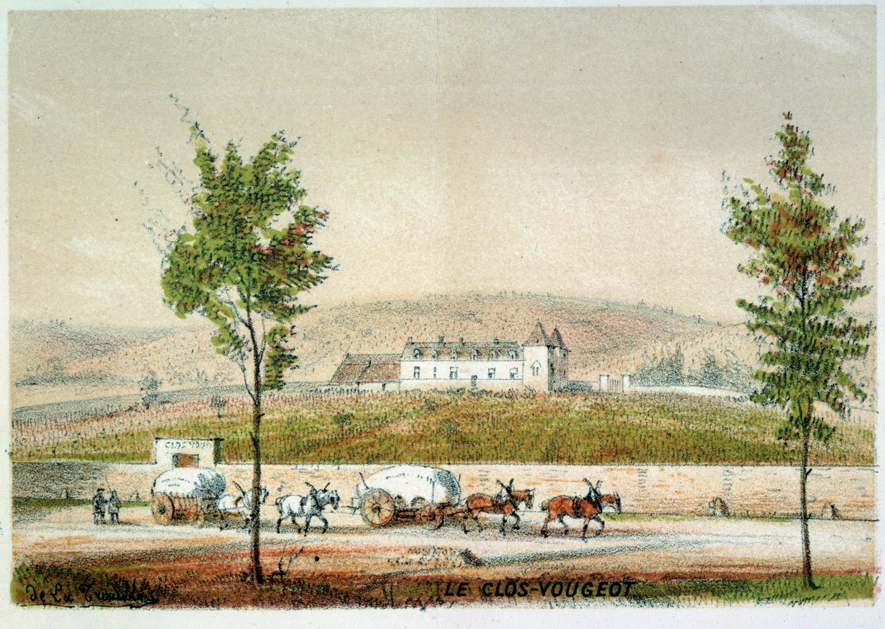 Le clos Vougeot, vinice Cote d