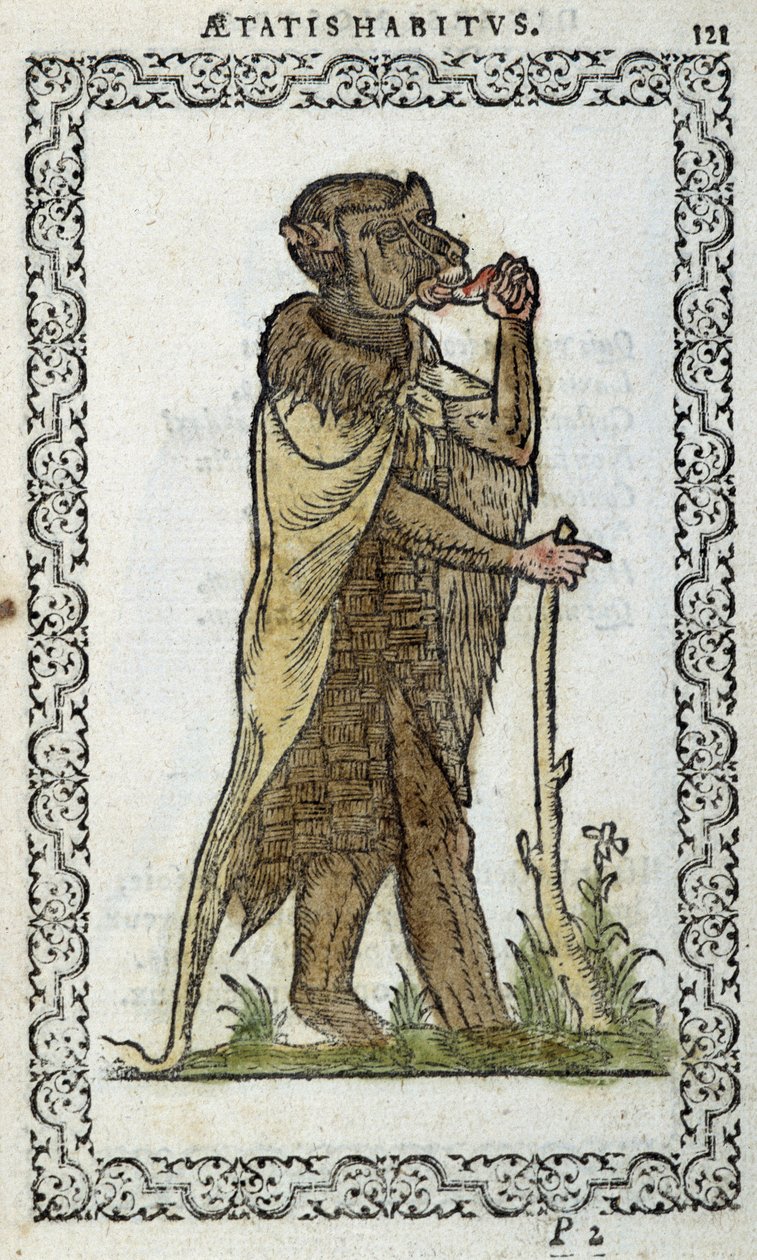 The standing monge - in “Habits et effigies”” od Jeana Sulperiuse od Unknown artist