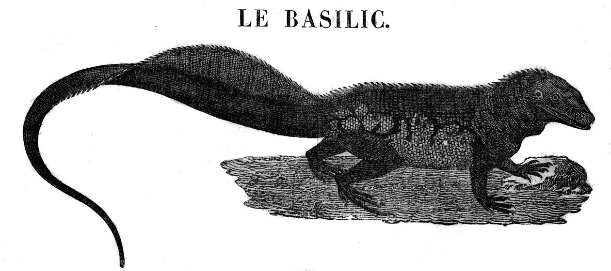 Legendární monstrum: reprezentace plaza Basila. od Unknown artist