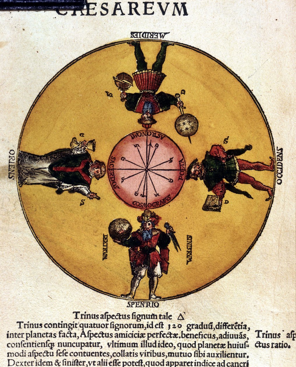 Les antipodes - v „“Astronomicon caesarum“, pojednání ze 16. století. od Unknown artist