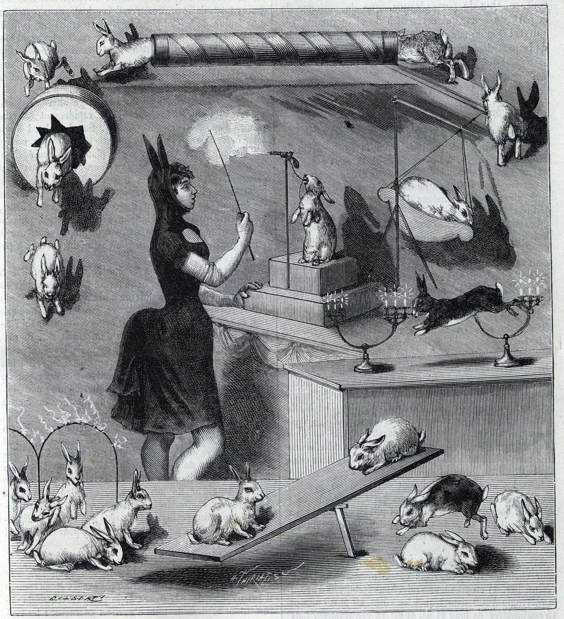 Les rabbits dresses du Nouveau Cirque v Paříži: tamptér v králičím kostýmu učící zvíře různá čísla. Rytina v “” La Nature”” 1890. Soukromá sbírka. od Unknown artist