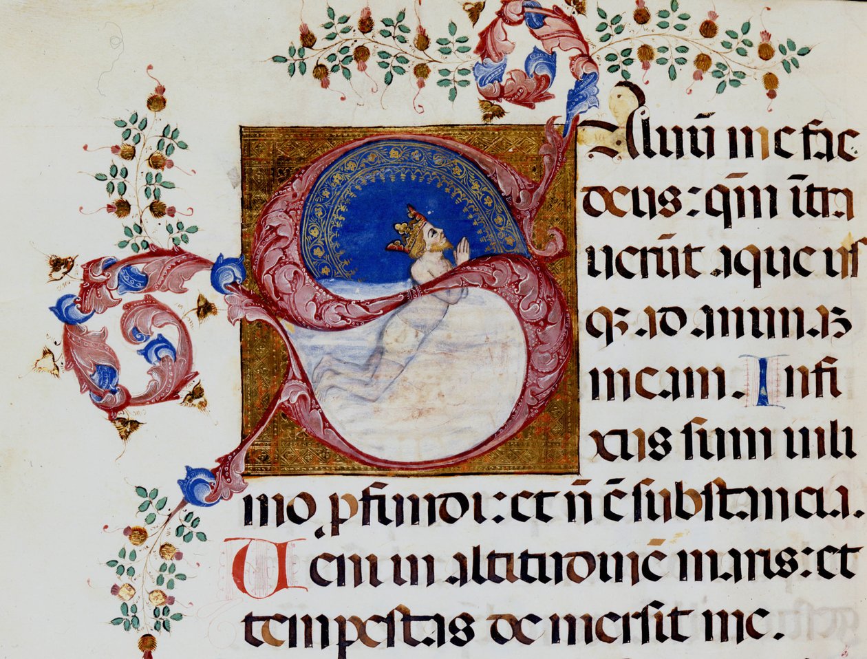 Lettrine S: David in the Deep Light - Antifonář 15. století. Městská bibli. z Rimini. od Unknown artist