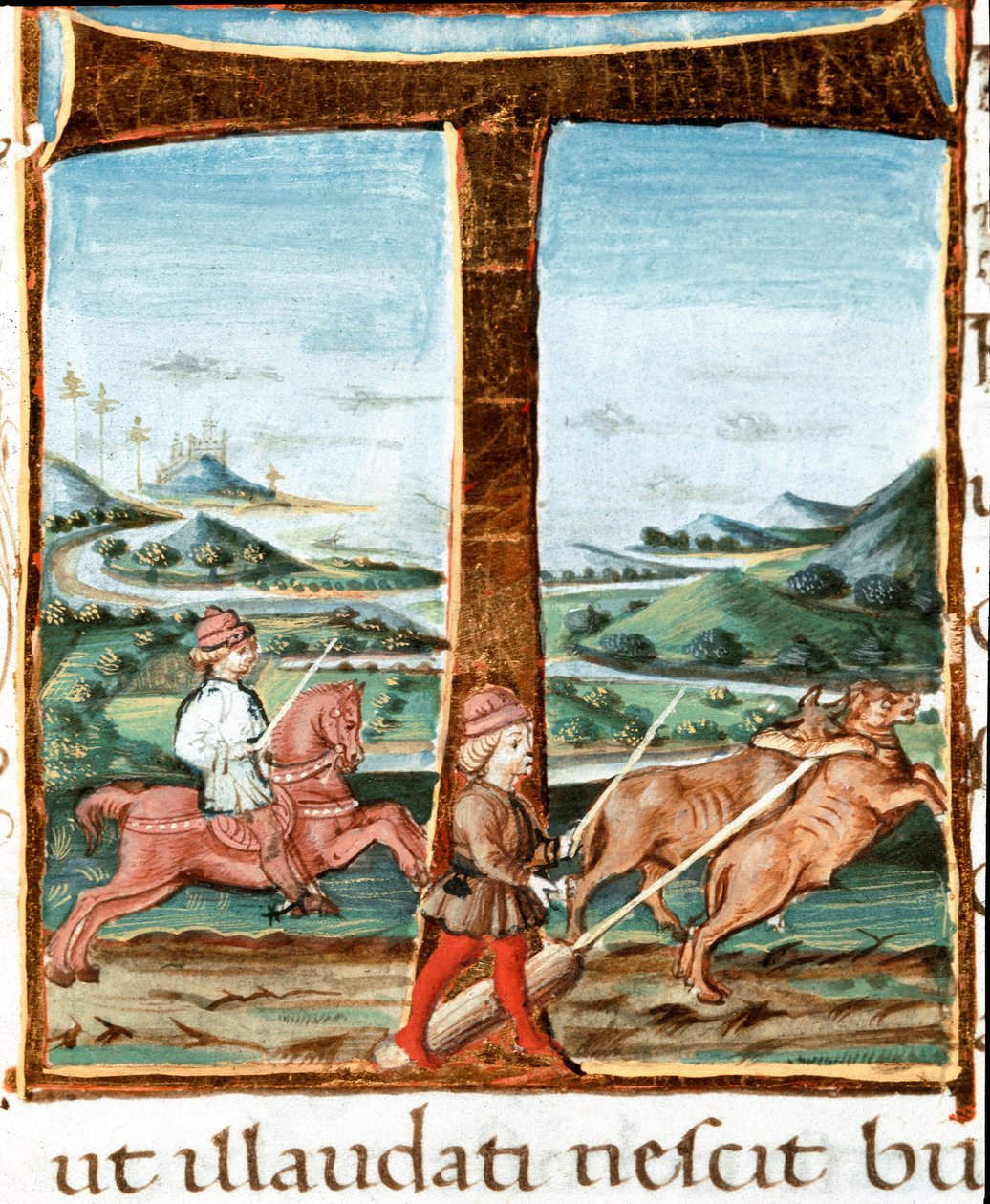 Lettrine T decoree jezdce a cvičitele volů - Miniatura převzatá z „“The Bucoliques““ (Eglogues) od Virgila (Publius Vergilius Maro) (70-19 př.nl) (Ms IV E.12). 15. století Neapol, Národní knihovna od Unknown artist