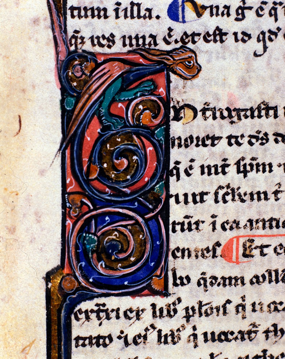 Lettrinový dekor gotického monstra připomínající chrliče Detail rukopisu 14. století. od Unknown artist