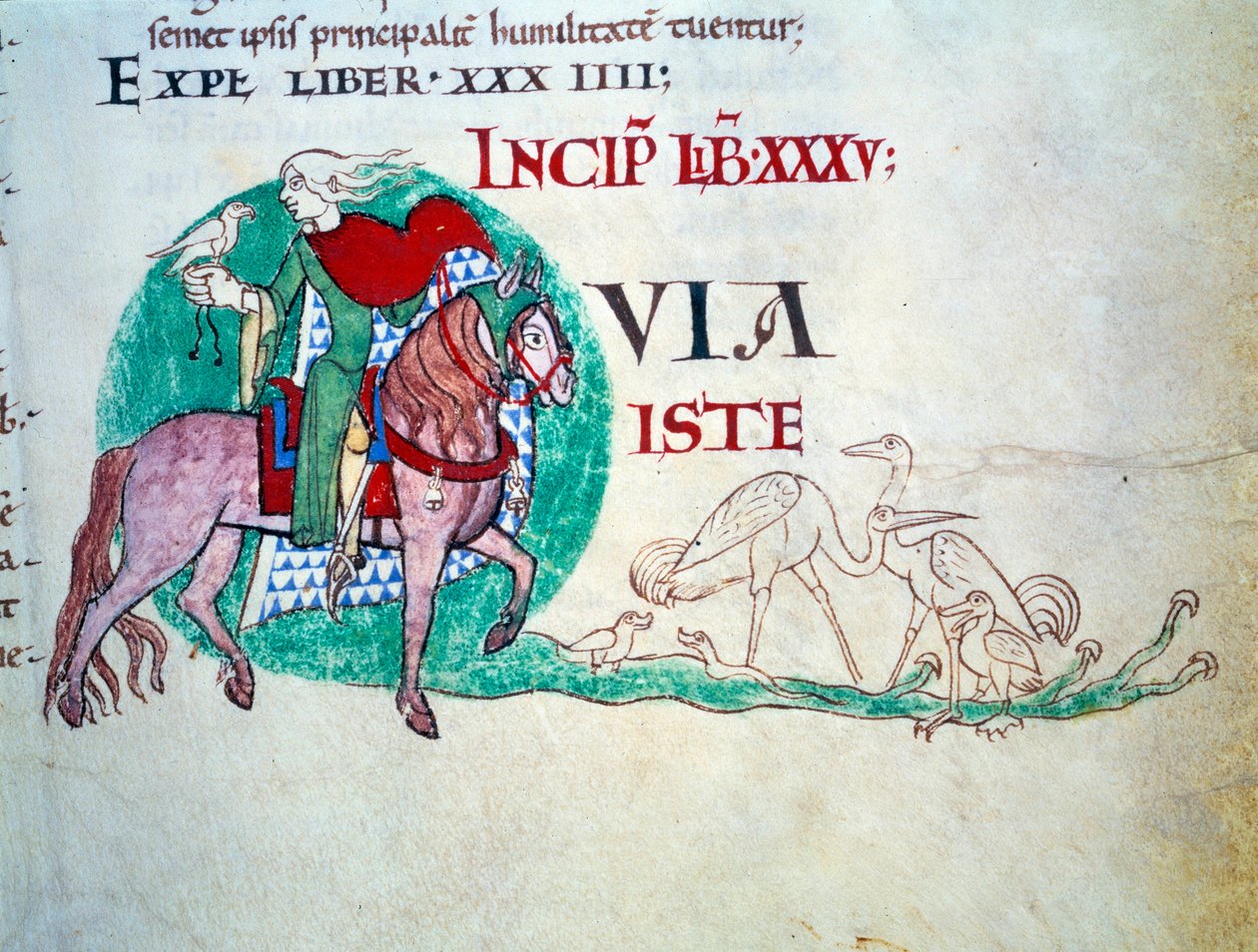 Lord má na lovu sokola. Miniatura středověku. Rukopis „Moralia in Job““ z opatství Citeaux pro papeže Gregoire I od Unknown artist