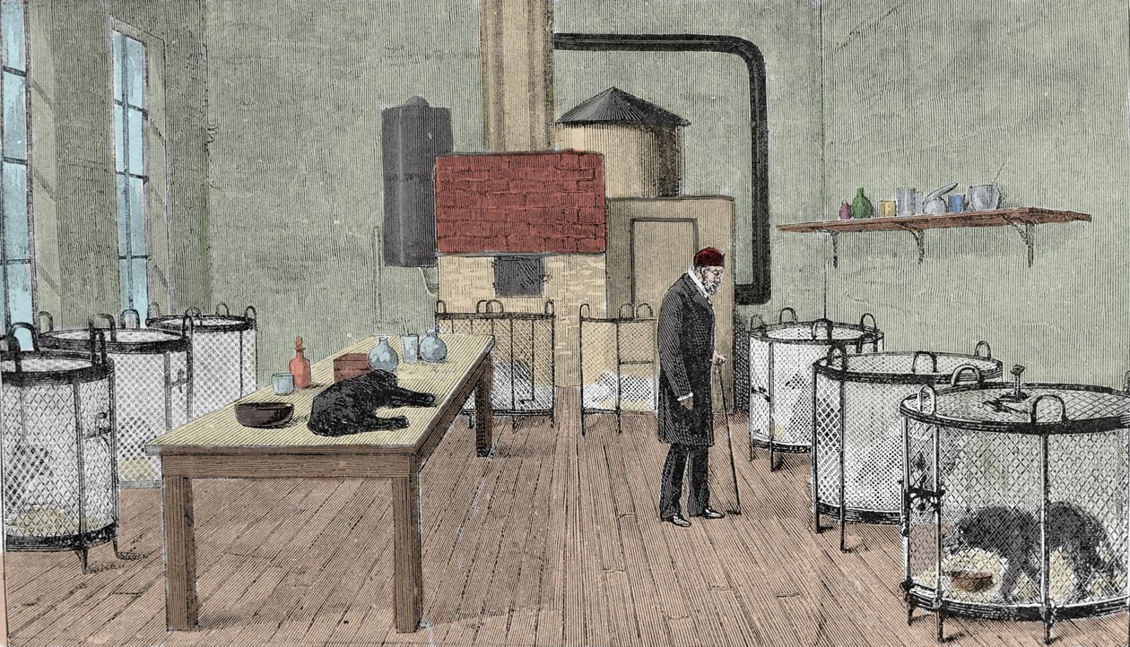 Louis Pasteur (1822-1895), francouzský chemik a fyzik ve své laboratoři v Paříži. od Unknown artist
