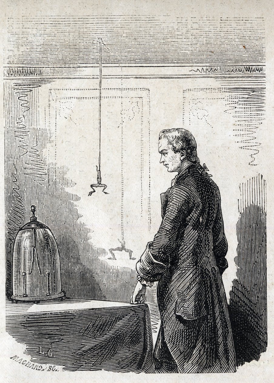 Luigi Galvani způsobuje žabí kontrakce hromosvodovým elektrolitem - LUIGI GALVANI (1737-1798) italský lékař a fyzik. Způsobuje kontrakce u žáby s elektřinou z bouřkového mraku od Unknown artist