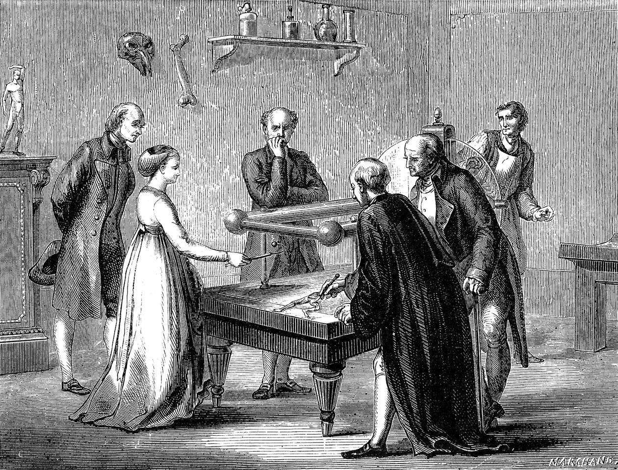 Luigi Galvani objevil v roce 1780 dráždivost žabího svalu elektřinou od Unknown artist