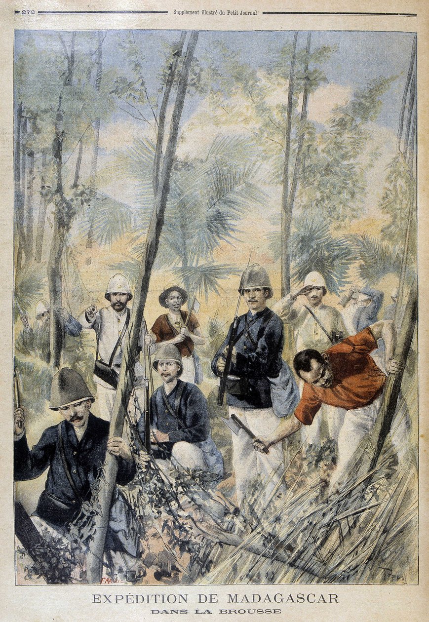 Expedice Madagaskar: v buši - v „“ Le Petit Journal“, srpen 1895 od Unknown artist