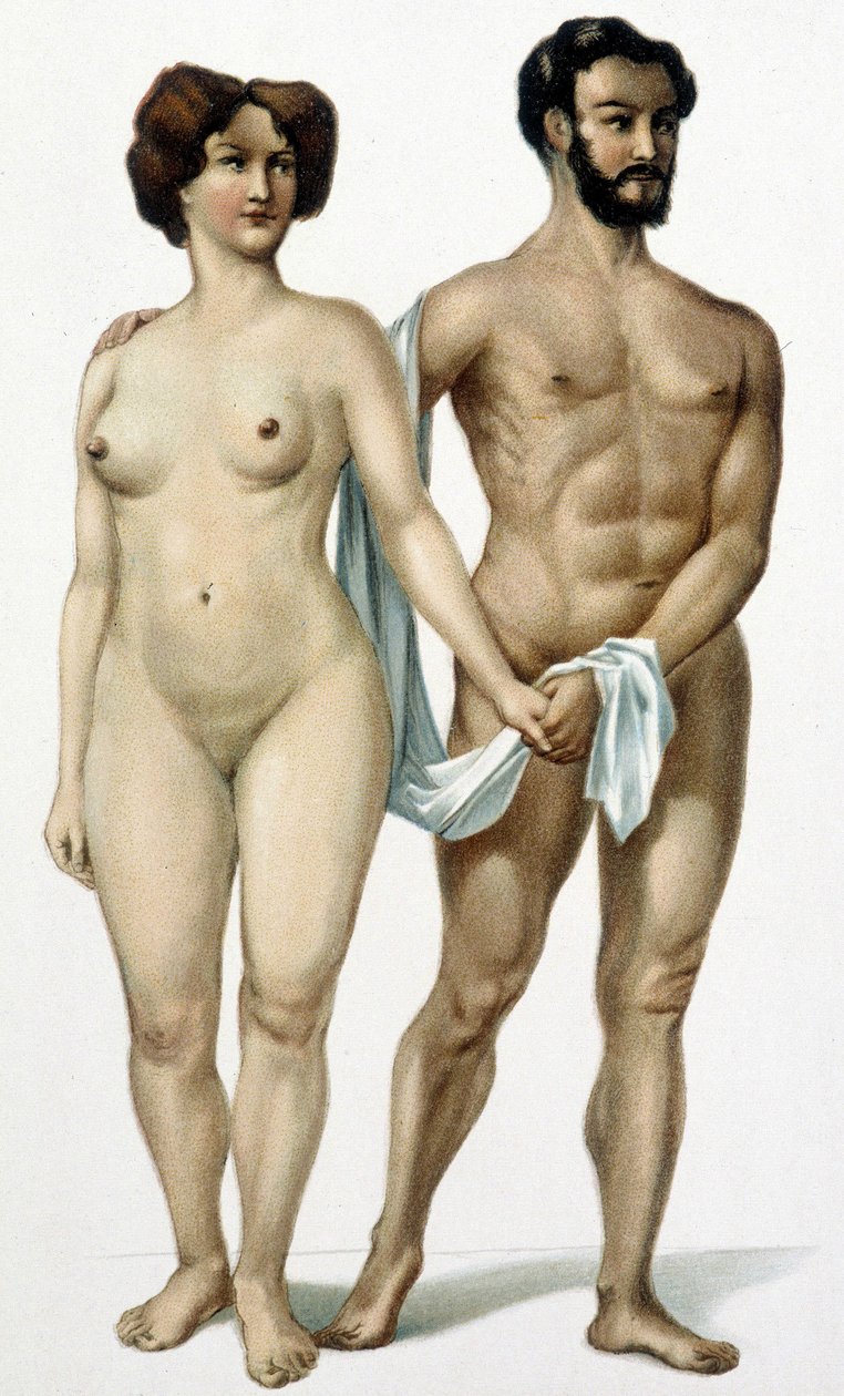 Muž a žena - kniha medicíny, konec 19. století od Unknown artist