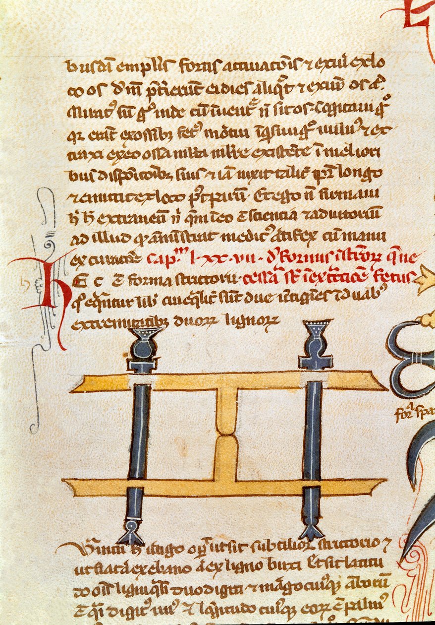 Rukopisná stránka “” Chirurgie”” (MS. LAT.VII XXXII-3023) Guillaume de Salicet (Guglielmo da Saliceto) (1207-1270), mnich a lékař. Biblioteca Marciana Benátky ze 14. století od Unknown artist