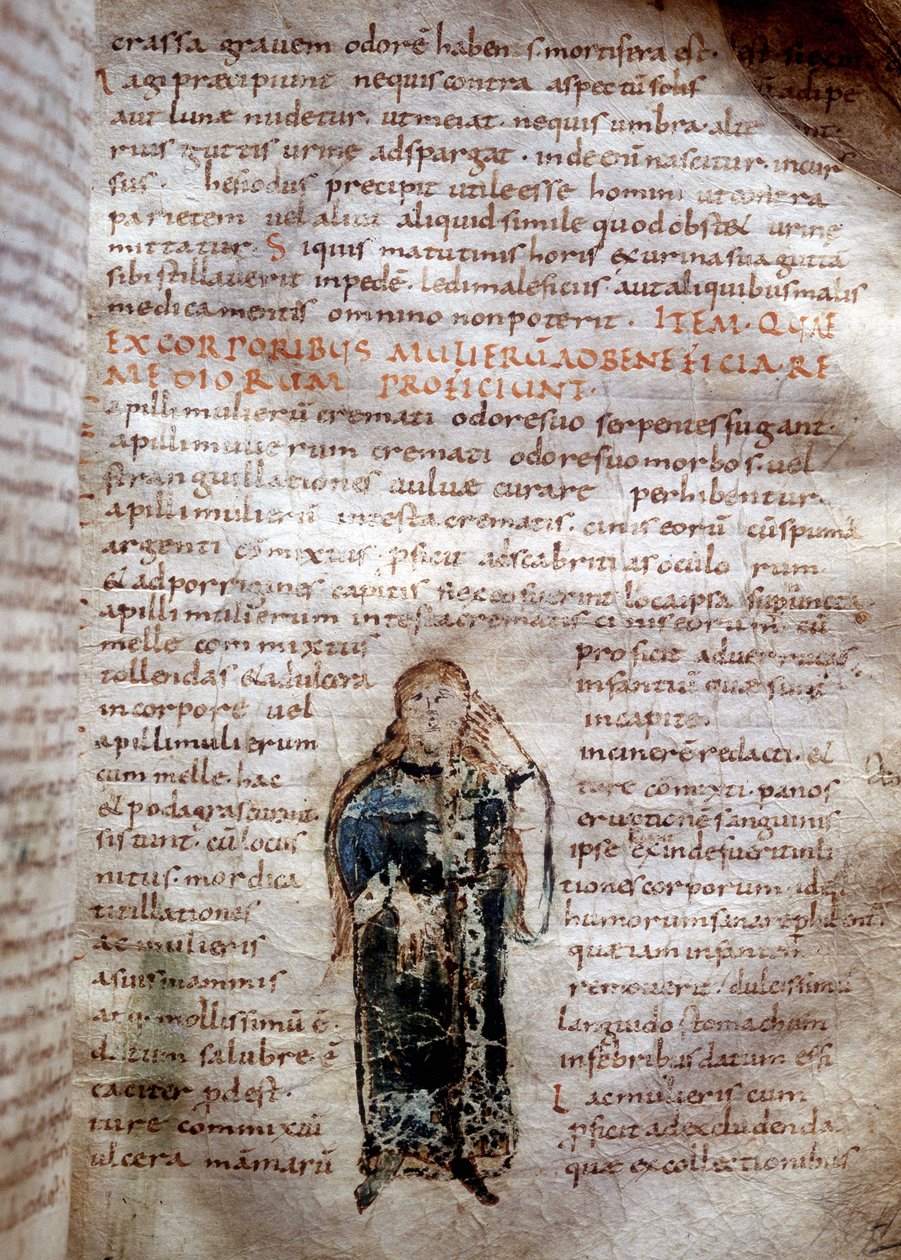Rukopisná stránka z „On the Simple Drugs“ od Clauda Galiena (Klaudios Galenos nebo Claudio Galeno nebo Claudius Galenus nebo Galen, v. 131 - v. 201). 8. nebo 9. století. Guvernér Luccy. od Unknown artist