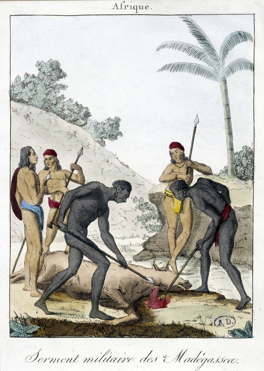 Vojenská přísaha obyvatel Madagaskaru (zabitý vůl) - grv. 1811 od Unknown artist