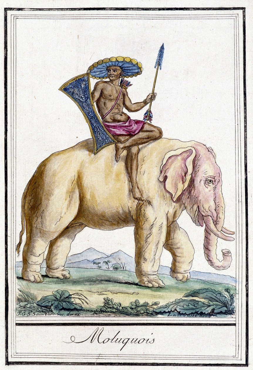 Molucquois muž na slonovi (ostrovy Molucca, Indonésie). od Unknown artist