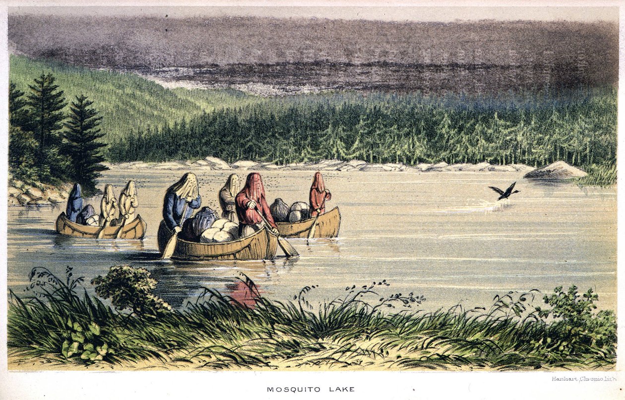 Jezero komárů v Kanadě: Indiáni kanoe přes jezero s moskytiérami na hlavě – v „Exploration of the Labrador Peninsula“ od Hind, Londýn od Unknown artist