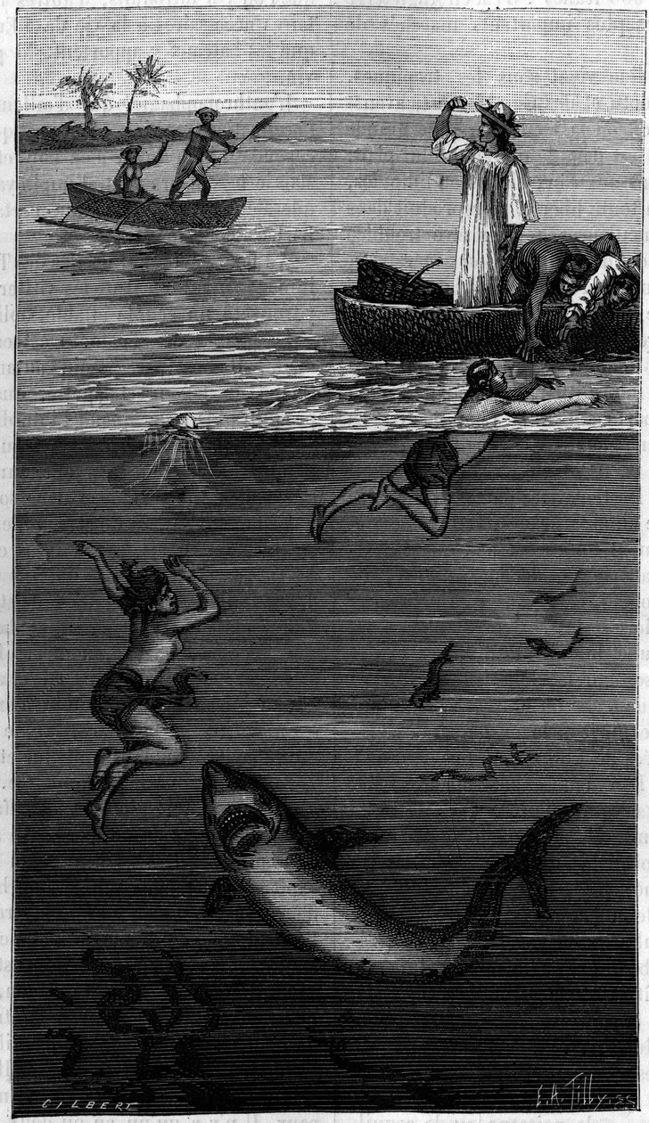 Kultura perlorodek na Tahiti: perlorodička napadená žralokem. (Podle dokumentů sdělených autorem). Rytina v „“ La Nature: revue des sciences et de leurs applications aux arts et a l