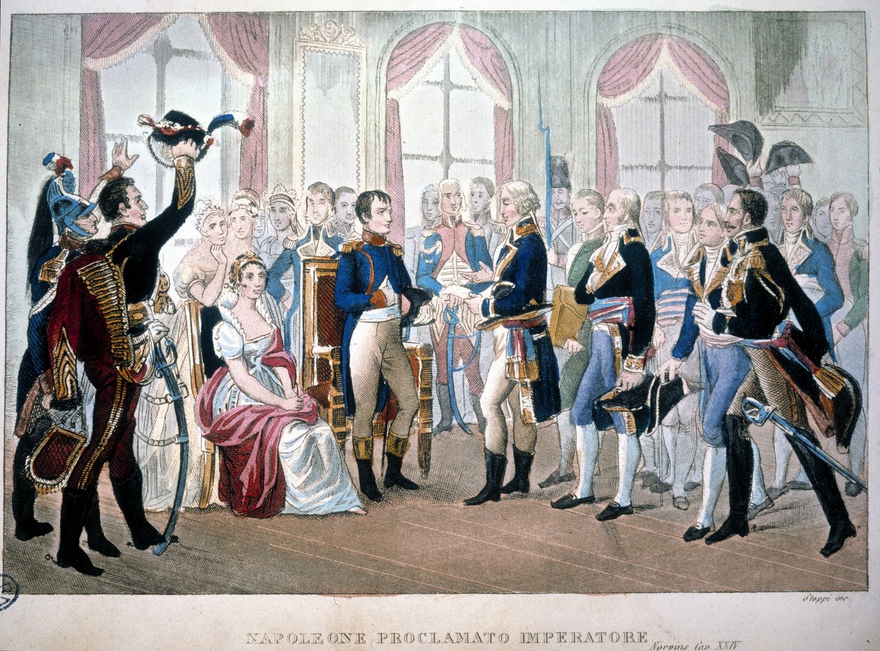 Napoleon byl v roce 1804 prohlášen císařem. od Unknown artist