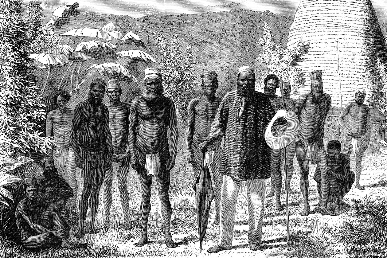 Pochází z Nové Kaledonie. 1885 rytina od Unknown artist