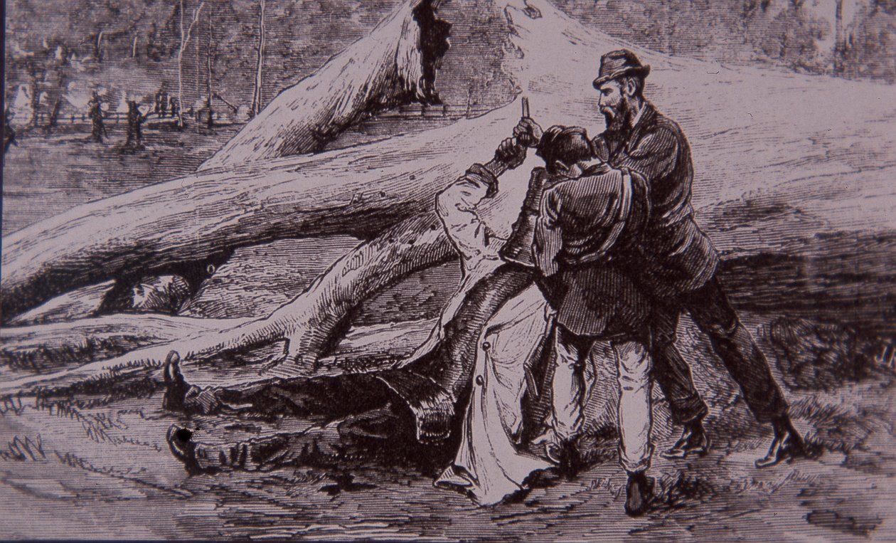 Ned Kelly zajat policejním konstáblem Kellym a železničářem Jesse Dowsettem, 28. června 1880 (rytina) od Unknown artist