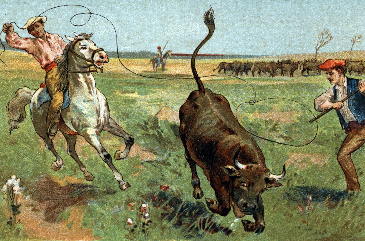 Starý zvyk oslavovaný v oblasti Provence: ferráda v Camargue. Chromolitografie konce 19. století. od Unknown artist