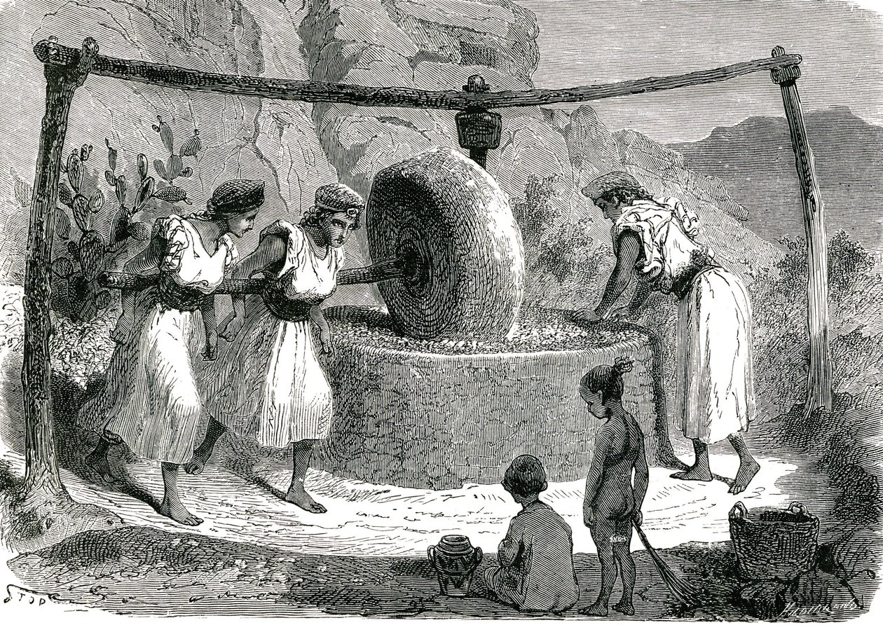 Mlýn na olivy v Alžírsku 1885 od Unknown artist